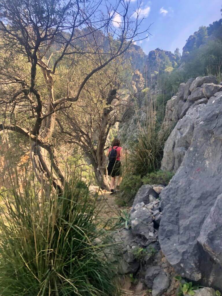 Como llegar a las Cueva de Ses Alfàbies 03