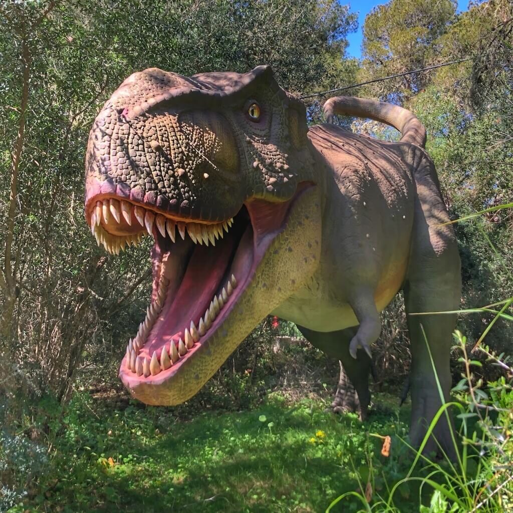 Trex Dinosaurland