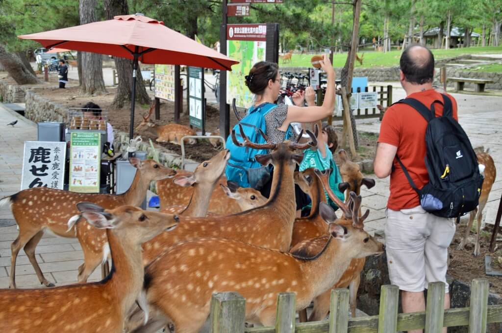 Parque de Nara