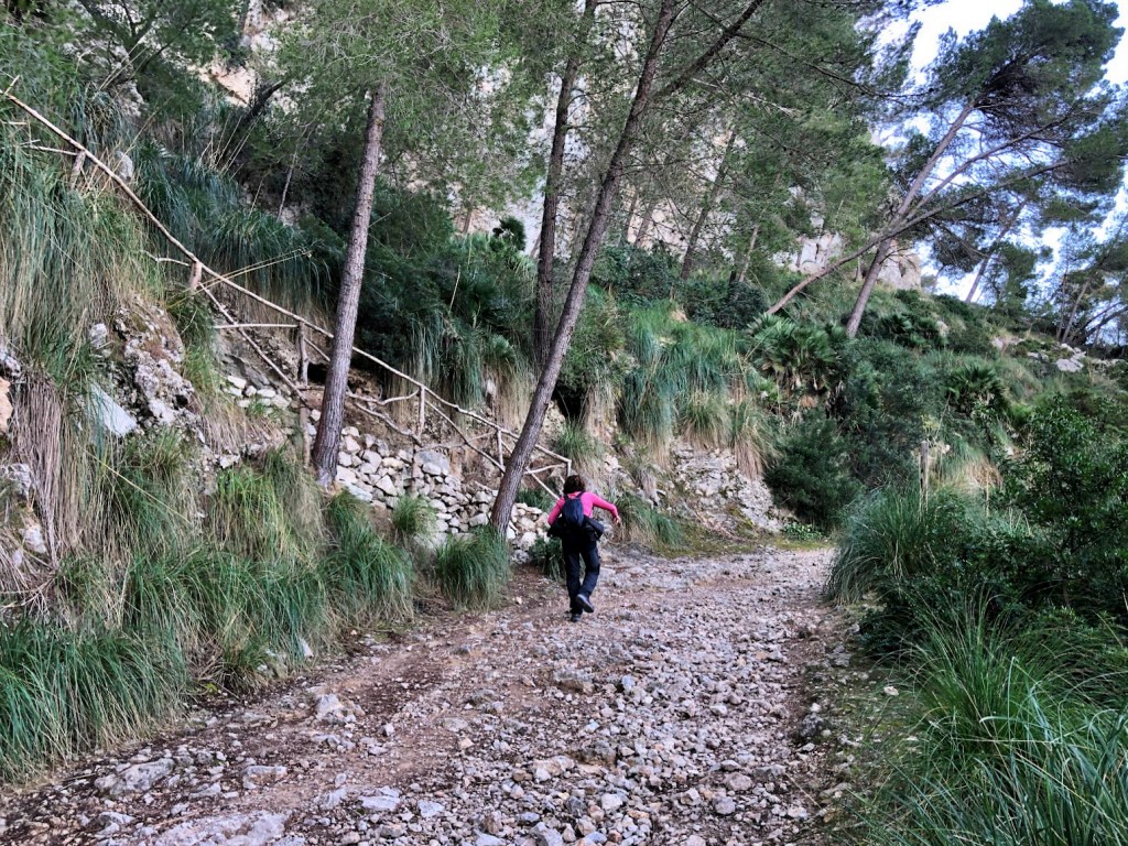 Desvio excursión Penya Migdia