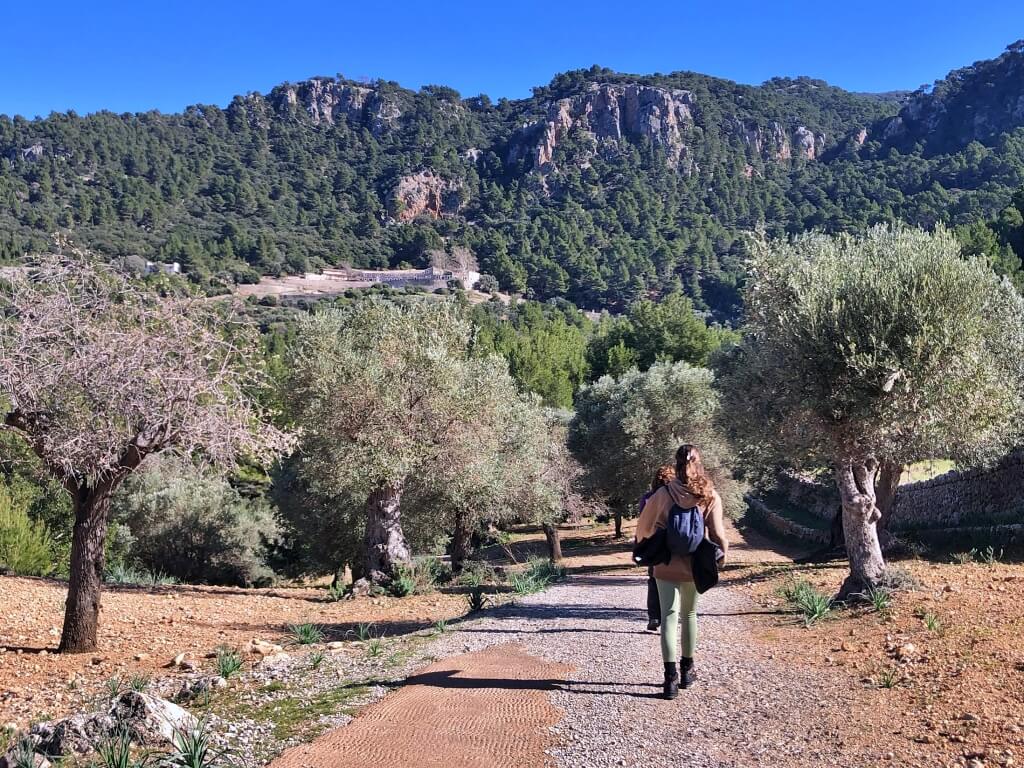 Regreso Excursión semicircular por la Finca Pública de Planícia