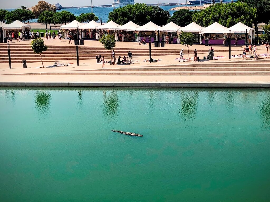 Drac de Na Coca en el Parc de la Mar